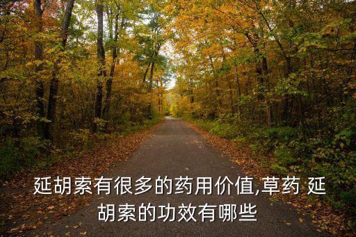 中藥延胡索,延胡索的功效:活血行氣鎮(zhèn)痛