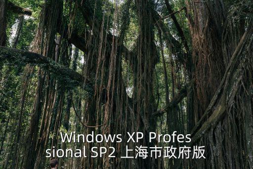 Windows XP Professional SP2 上海市政府版