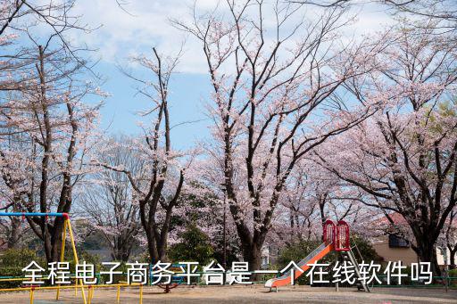 全程電子商務平臺是一個在線軟件嗎