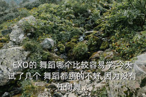 韓國舞蹈教學(xué),韓式舞蹈風(fēng)格教練教你跳起來不累