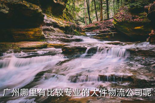 廣州哪里有比較專業的大件物流公司呢