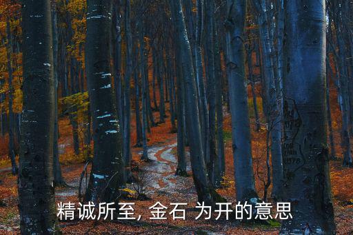 精誠(chéng)所至, 金石 為開(kāi)的意思
