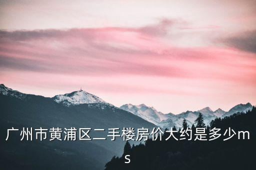 廣州市黃浦區二手樓房價大約是多少ms
