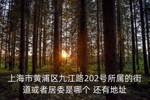 上海市黃浦區九江路202號所屬的街道或者居委是哪個 還有地址
