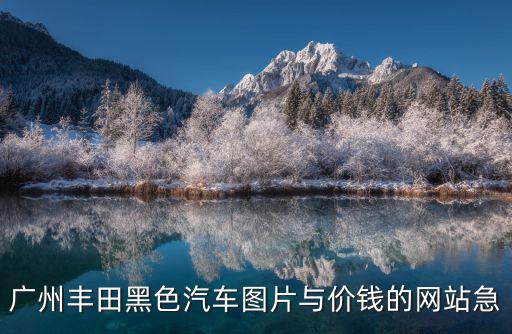廣州豐田黑色汽車圖片與價錢的網(wǎng)站急