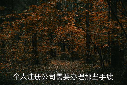 個人注冊公司需要辦理那些手續