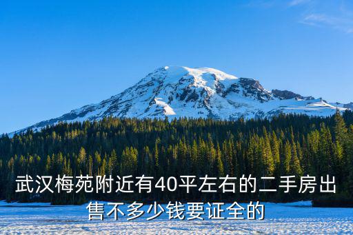 武漢梅苑附近有40平左右的二手房出售不多少錢要證全的