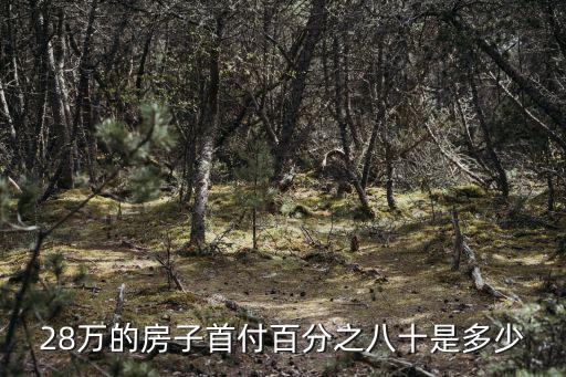 28萬的房子首付百分之八十是多少