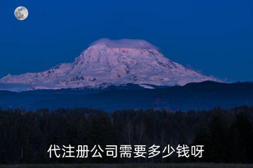 代注冊公司需要多少錢呀