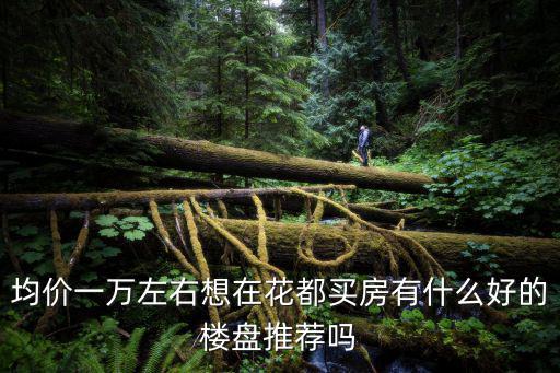 均價一萬左右想在花都買房有什么好的樓盤推薦嗎