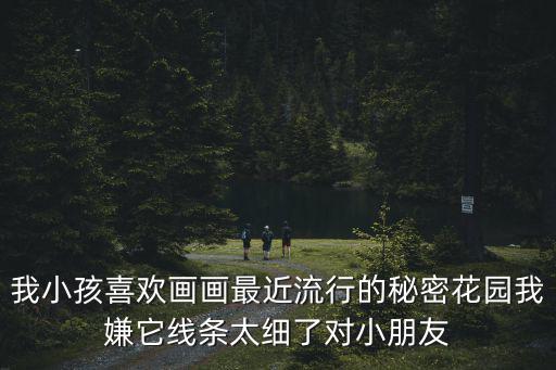 我小孩喜歡畫畫最近流行的秘密花園我嫌它線條太細了對小朋友