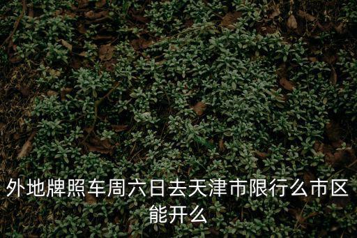 外地牌照車周六日去天津市限行么市區(qū)能開么