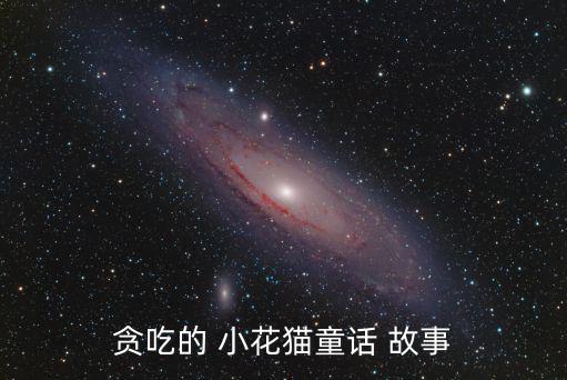 小花貓的故事,看圖寫文字小白貓和小黑貓急忙尋求幫助