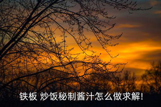 鐵板 炒飯秘制醬汁怎么做求解!