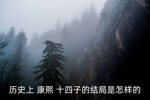 歷史上 康熙 十四子的結(jié)局是怎樣的