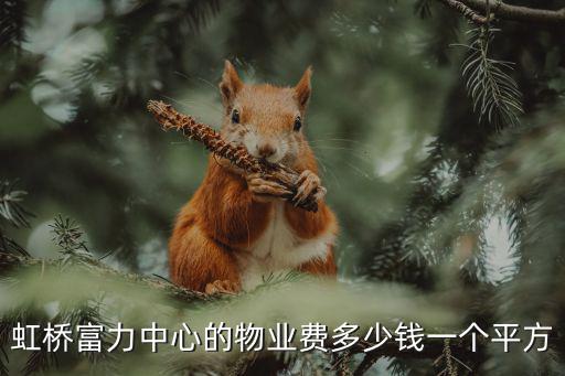富力中心現(xiàn)在的房價如何，虹橋富力中心的物業(yè)費多少錢一個平方