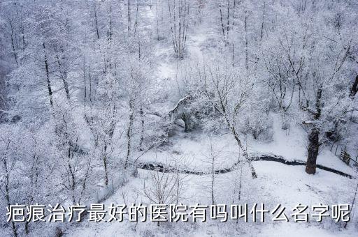 祛疤痕哪個醫院比較好，疤痕治療最好的醫院有嗎叫什么名字呢