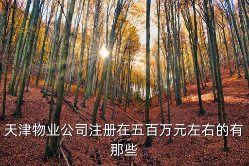 天津物業(yè)公司注冊在五百萬元左右的有那些