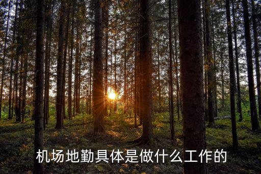  機(jī)場地勤具體是做什么工作的
