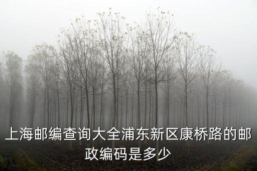 上海郵編查詢大全浦東新區(qū)康橋路的郵政編碼是多少