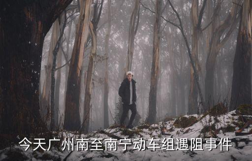 今天廣州南至南寧動車組遇阻事件