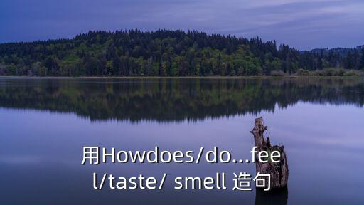 用Howdoes/do...feel/taste/ smell 造句