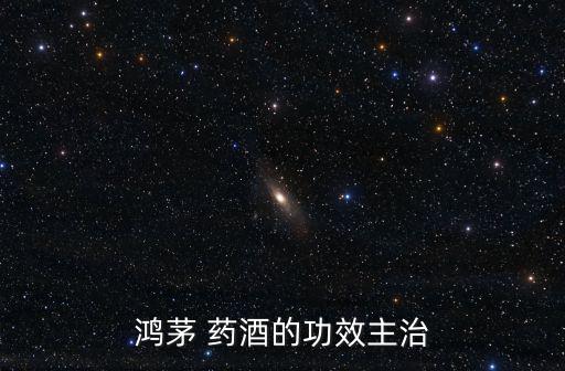 藥酒的功效,中藥材泡酒:大棗人參靈芝等泡酒2.5升