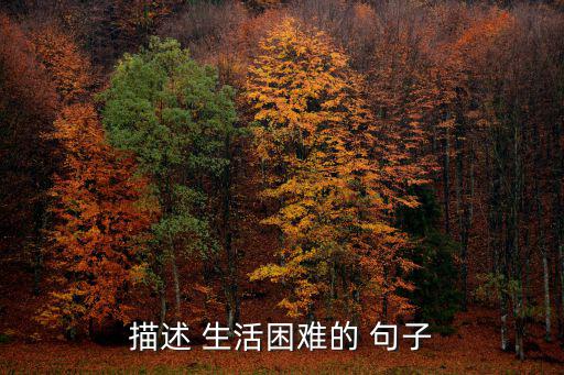 生活艱難的句子,生活不是電視劇