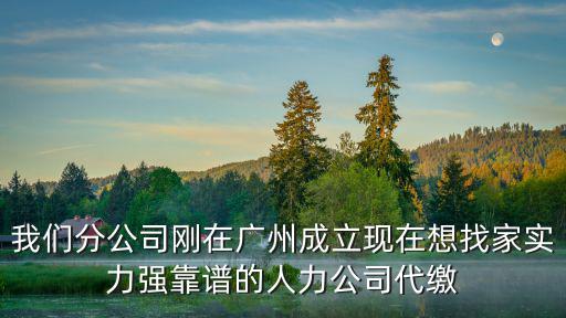 我們分公司剛在廣州成立現在想找家實力強靠譜的人力公司代繳