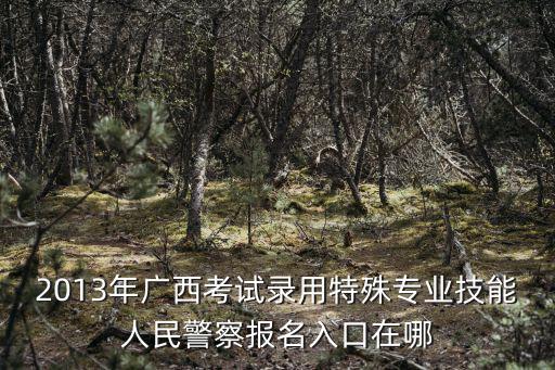 2013年廣西考試錄用特殊專業技能人民警察報名入口在哪