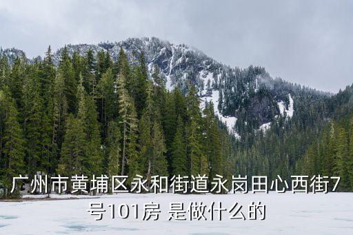 廣州市黃埔區(qū)永和街道永崗田心西街7號(hào)101房 是做什么的
