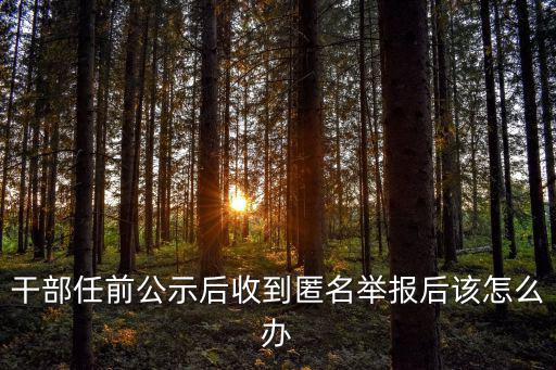 干部任前公示后收到匿名舉報后該怎么辦