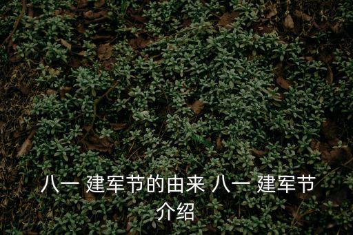  八一 建軍節(jié)的由來(lái) 八一 建軍節(jié)介紹