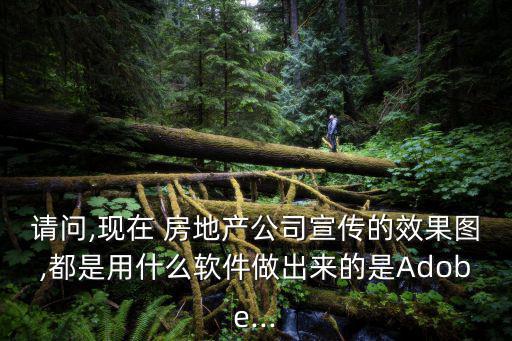 請問,現在 房地產公司宣傳的效果圖,都是用什么軟件做出來的是Adobe...