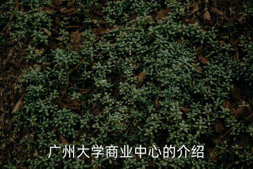 廣州大學商業(yè)中心的介紹