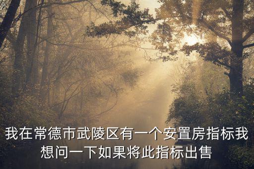 我在常德市武陵區有一個安置房指標我想問一下如果將此指標出售