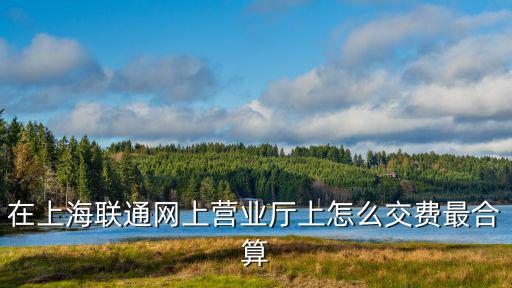 上海網通辦繳費平臺，手機繳費通業務