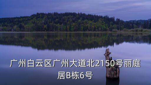 廣州白云區(qū)廣州大道北2150號(hào)麗庭居B棟6號(hào)