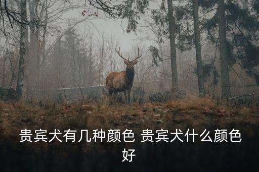  貴賓犬有幾種顏色 貴賓犬什么顏色好