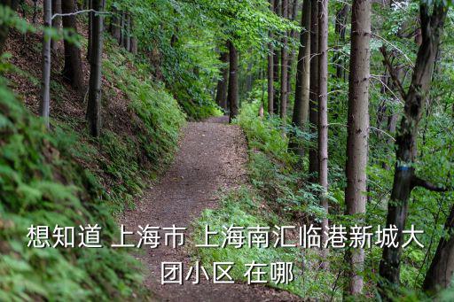 想知道 上海市 上海南匯臨港新城大團小區 在哪