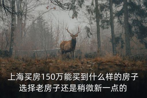 上海買房150萬能買到什么樣的房子選擇老房子還是稍微新一點的
