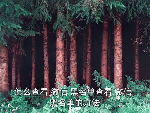 微信黑名單怎么看,點擊通訊錄黑名單查看里面的人!