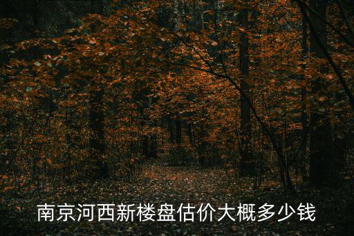 南京河西新樓盤估價大概多少錢