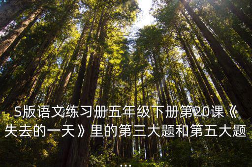 S版語文練習冊五年級下冊第20課《失去的一天》里的第三大題和第五大題...