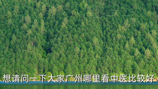 想請問一下大家廣州哪里看中醫(yī)比較好