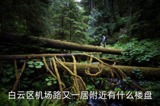 白云區機場路又一居附近有什么樓盤