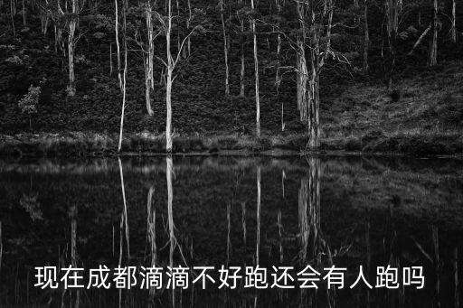 現在成都滴滴不好跑還會有人跑嗎
