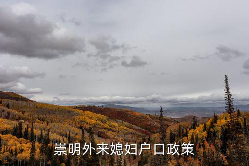 崇明外來媳婦戶口政策