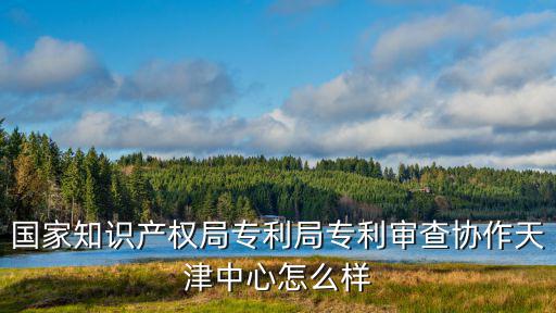 天津市寧河區(qū)知識(shí)產(chǎn)權(quán)局，國(guó)家知識(shí)產(chǎn)權(quán)局專利局專利審查協(xié)作天津中心怎么樣