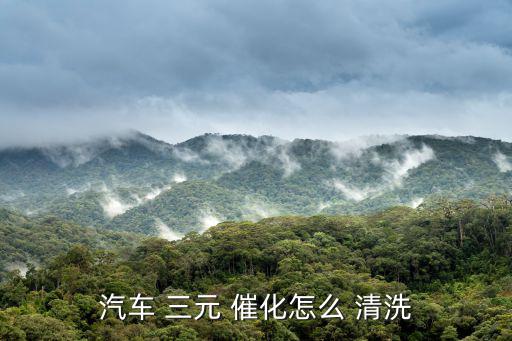 三元催化清洗,三元催化設備拆卸清洗效果最好